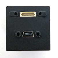dn2_back2