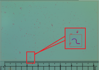 LCD scratch / dirt detection